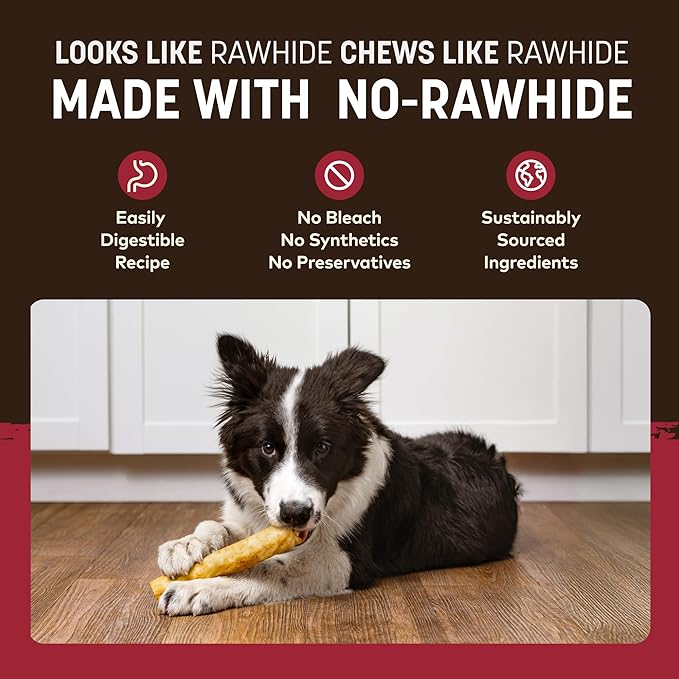 Earth Animal No Hide Chews - Long Lasting Rawhide Free Medium Dog Chews Rolls, Beef - 6 Count
