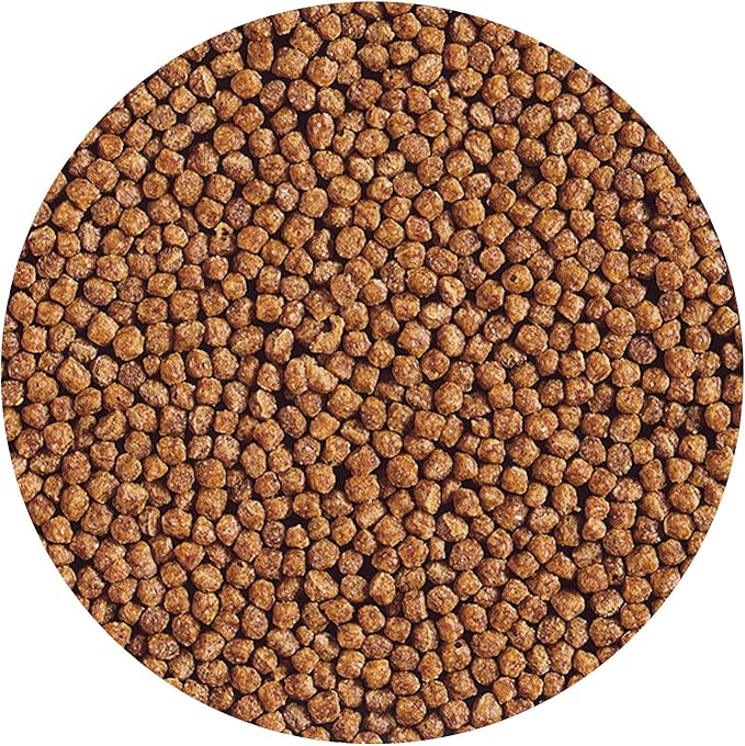 Hikari Gold Baby Floating Pellets for Koi and Pond Fish for Pets, 3.5-Ounce