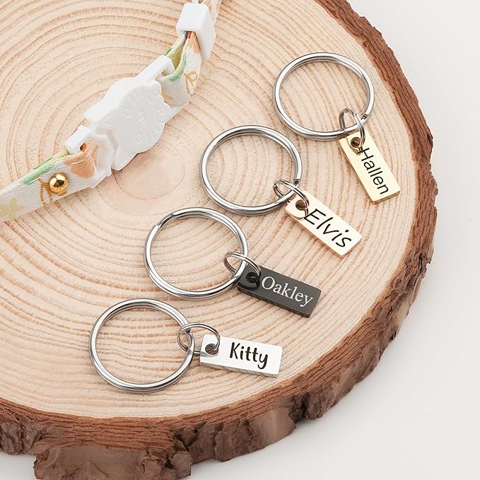 Anavia Small Size Dog Cat ID Tags, Small/XS Personalized Color Plated Stainless Steel Puppy Kitten Name Tags, Customized Engraved Nameplate Pet Collar Tag (Silver, XS-Rectangle)
