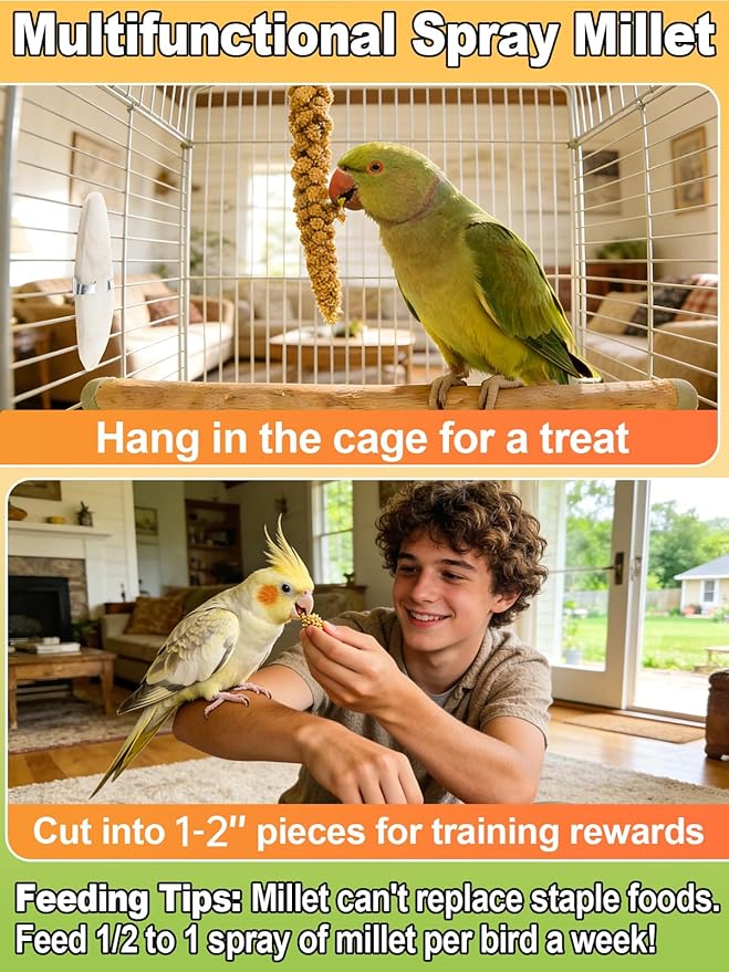 MEWTOGO Spray Millet & Cuttlebone Bird Treats Set - 2lb Hand Selected Golden Millet Treats for Parakeets Cockatiel Lovebirds Canaries Finches, Energy & Calcium Boost