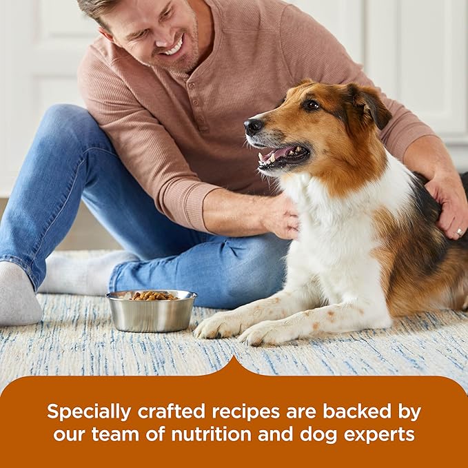 Nutrish Rachael Ray Healthy Weight Adult Dry Dog Food Real Turkey, Brown Rice & Venison Recipe, 12 lb. Bag