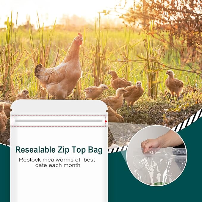 10LB 100% Natural Non-GMO High Protein Dried Mealworms, Large Size No Moisture, Perfect for Chickens Birds Hedgehog Hamster Fish Reptile Turtles
