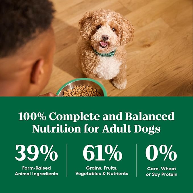Nutro Natural Choice Small Bites Dry Dog Food, Adult Dog Food Dry Lamb and Brown Rice Recipe, 12 lbs.
