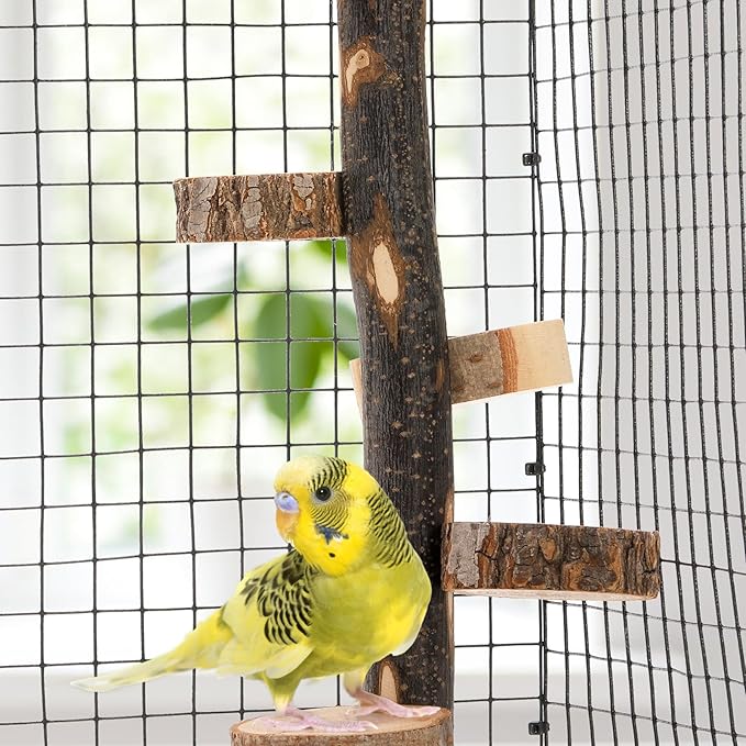 Natural Wood Bird Perch, 12 Inch Parrot Perch Stand for Cage, Small Animals Hanging Perch & Platforms for Parakeet Parrots Cockatiel, Conure, Budgie, Macaw, Bird Cage Accessories
