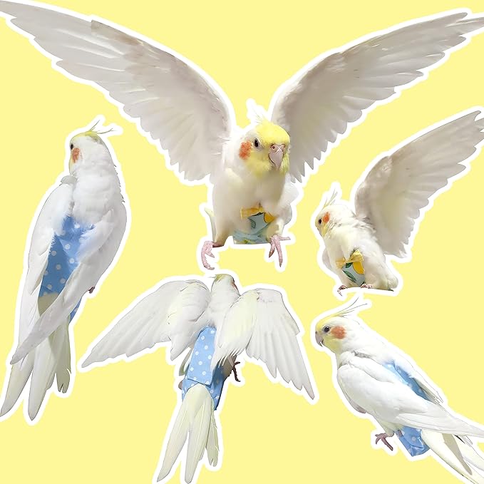 VANFAVORI Bird Diaper Harness Flight Suit Clothes with 80 Inch Flying Leash Rope for Parrots Conure Cockatiel Pet Birds Weight 80-105 Grams, M Size Yellow, Including A Cotton Pad