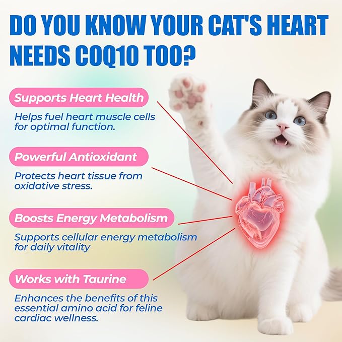Just Try 16 OZ Coenzyme Q10 Heart Heathy Bites for Cats Value Packs - Advanced Coq10 & Taurine Supplement for Feline Heart Health - Chicken Flavored Soft Chews - Supports Heart Function