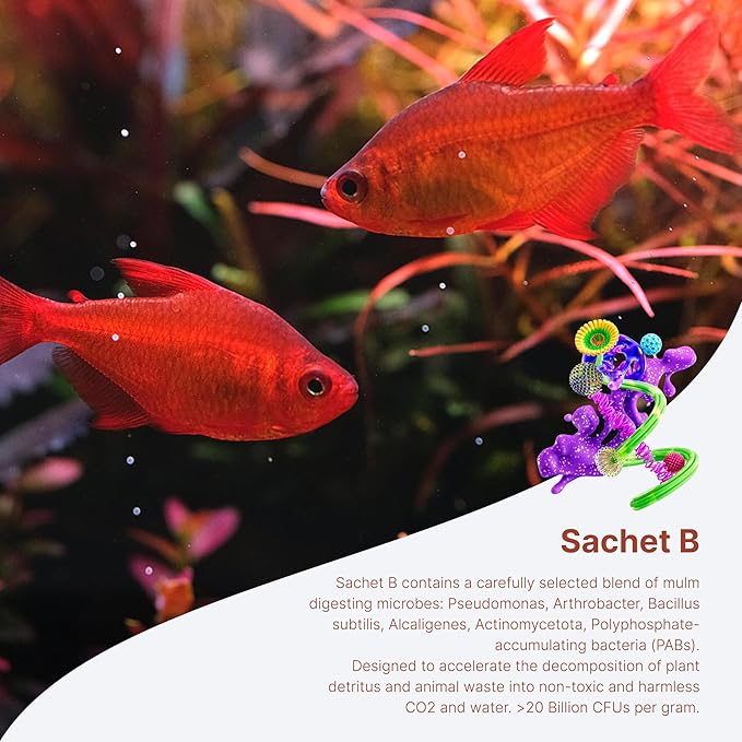 2Hr Aquarist APT Balance Freshwater Aquarium Starter Bacteria