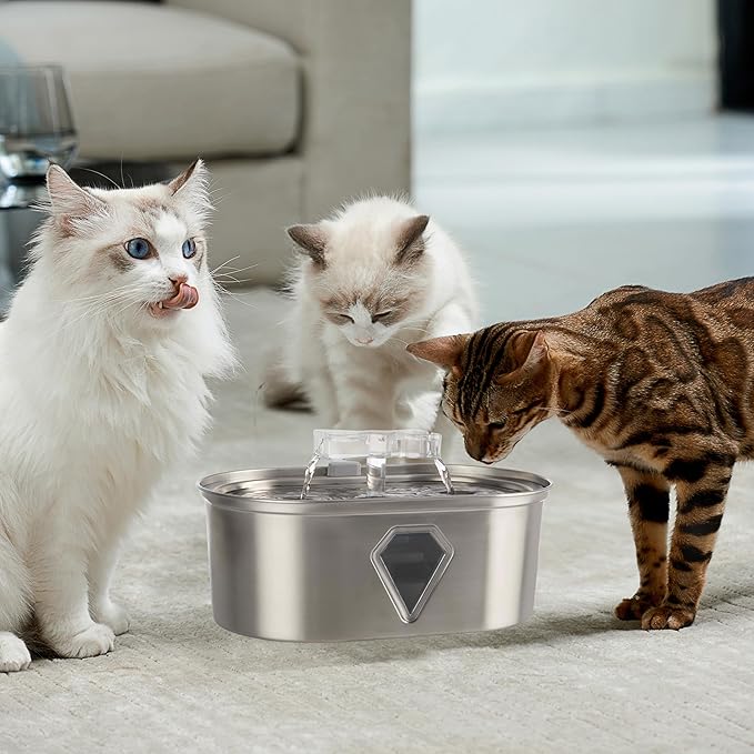 Cat Water Fountain - Stainless Steel Water Fountain for Small Pets - 118oz/3.5L Automatic Cat Water Dispenser with Water Level Window by PETMAKER