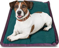Jeffers Pet Comfort Dog Pillow, Large 30" x 40", Dark Green – Machine Washable Dog Bed for House, Sofa, Crate & Travel – Poly Cotton Shell, Winter Warmth, Soft, Comfy, Durable, Top Pet Bedding