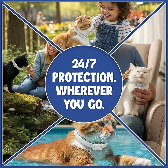 Cat Flea and Tick Collar (2 Pack) – Natural Waterproof Flea Collar for Cats & Kittens with 8 Month Protection Adjustable Cat Flea Collar Includes Tick Removal Tools & Flea Comb