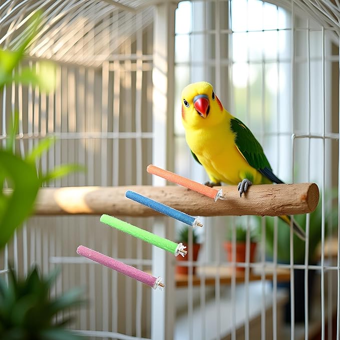 2 Pcs Multi-Color Random Bird Perch Stand Toy Wood Parrot Perch Stand Grinding Claw Sticks Sanded Surface Cage Toy for Parakeets Finches Parakeet Toys Birdcage Accessories