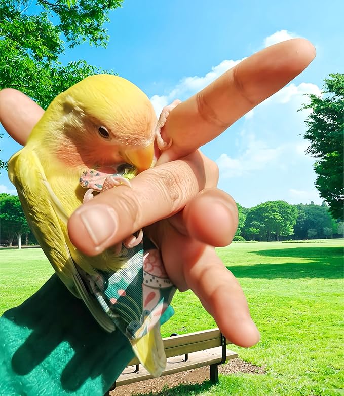 2 Pcs Bird Diapers Bird Harness Flight Suits Diapers with 80in Flying Leash Reusable Parrot Nappy with Waterproof Inner Layer for Cockatiel Budgie Conure Parakeet Lovebird-Red&Green
