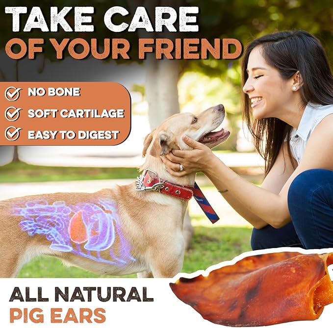 BRUTUS & BARNABY Whole Pig Ears for Dogs, 12 Ct. – All-Natural Single Ingredient Dog Chews, Slow Cooked & Fully Digestible Rawhide Alternative