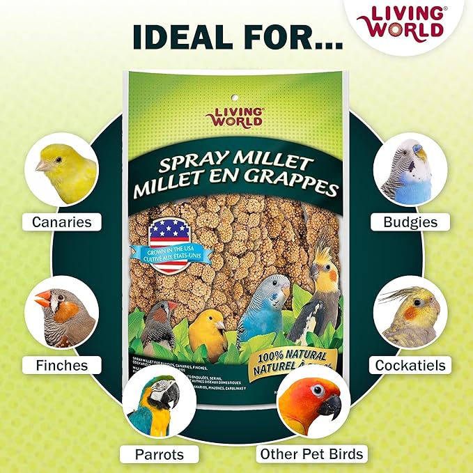 Living World – Millet Spray for Birds, 7 Oz – Premium Treat for Budgies, Canaries, Finches, Cockatiels and Other Pet Birds