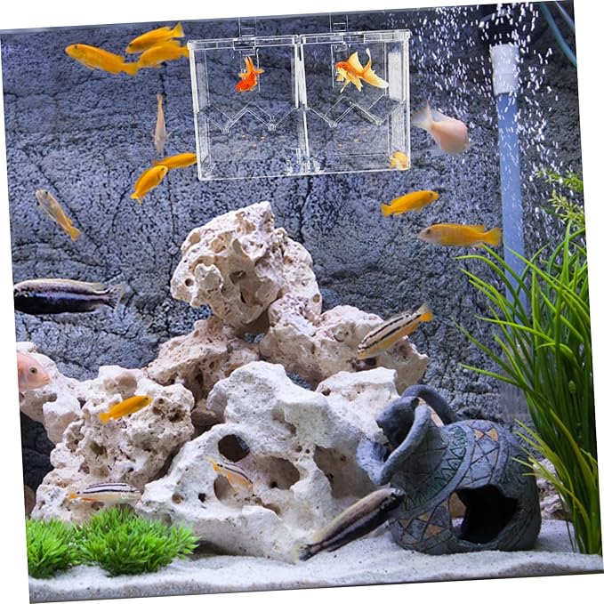 YARNOW 1pc Fish Tank Hatching Incubator Dual Isolation Box for Breeding Fish Plastic Aquarium Accessory Hook Mode for Guppies Shrimp