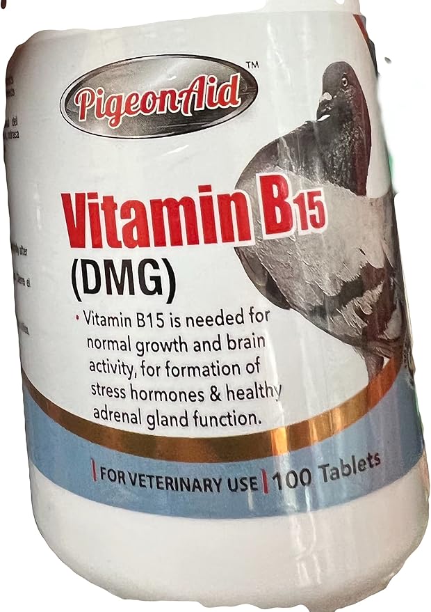 Vitamin B15 (DMG) 100 Tablets PALOMAS Pigeons