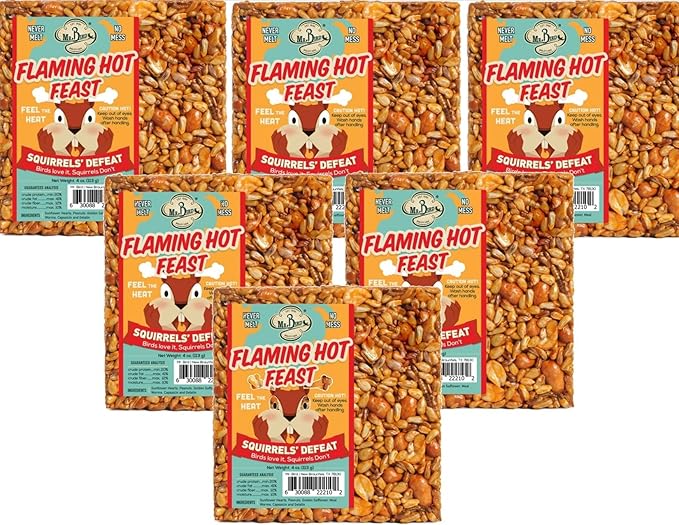 6-Pack of Mr. Bird Flaming Hot Feast Small Wild Bird Seed Cake 4 oz.