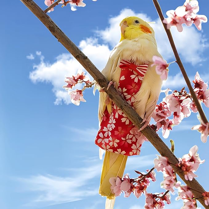 2 Pcs Bird Diapers Bird Harness Flight Suits Diapers with 80in Flying Leash Reusable Parrot Nappy with Waterproof Inner Layer for Cockatiel Budgie Conure Parakeet Lovebird-Red&Green