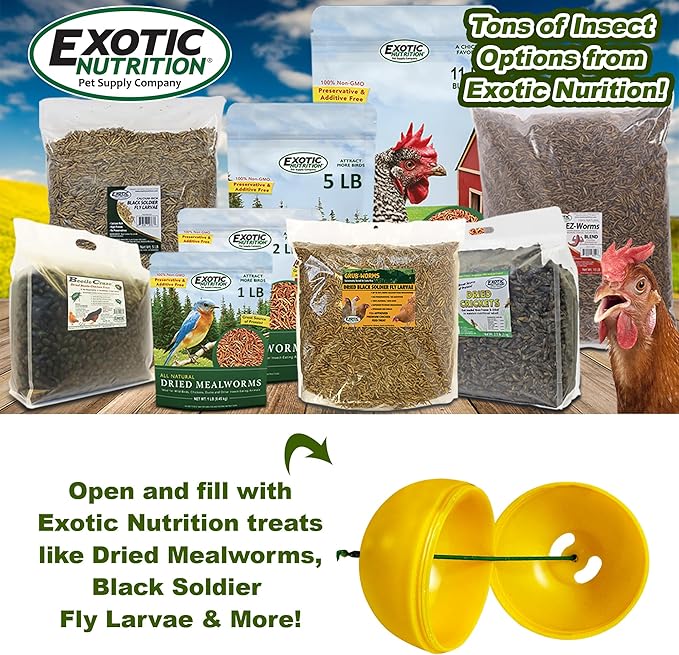 Exotic Nutrition Chicken Treat Dispenser - Fun & Unique Mealworm Foraging Toy for Chickens