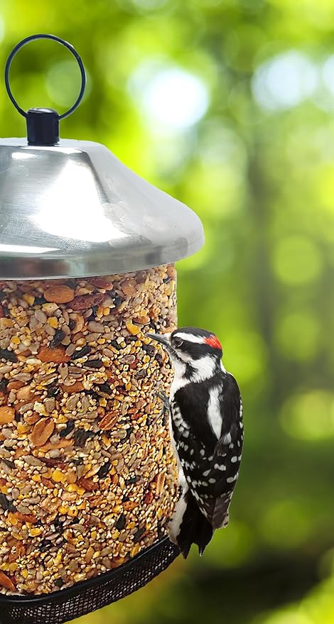 Wildlife Sciences Songbird Treats Seed Tower 2 Packs | Bundle of 2 | 1.5-2 lb Seed Log Towers for Wild Birds (Nutty's Berries 2 Pack)