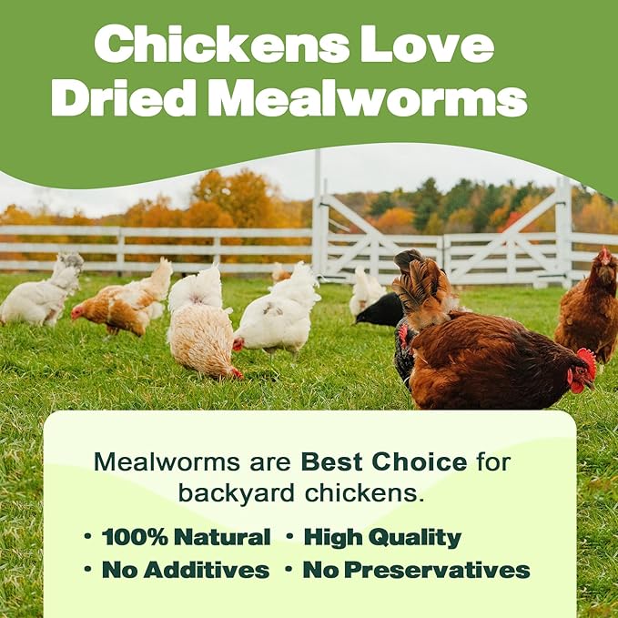 Dried Mealworms - 22 LBS- 100% Natural Non GMO High Protein - Bulk Mealworms for Wild Birds, Chicken Treats, Hamster, Gecko, Turtle, Lizard Food
