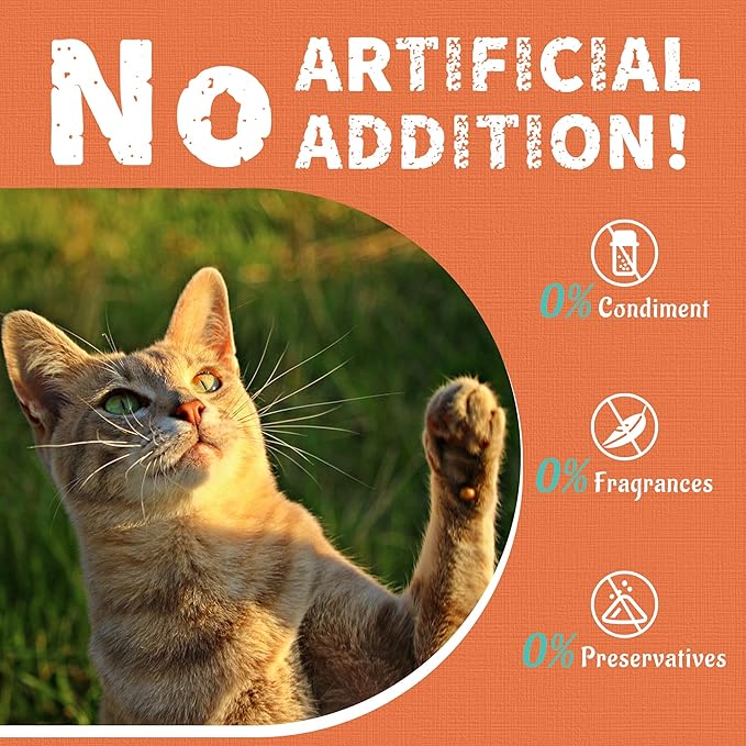 Just Try 16 OZ Collagen Cat Treats Healthy Cat Snacks Training Biscuits Skin Elasticity & Joint Health for Cats