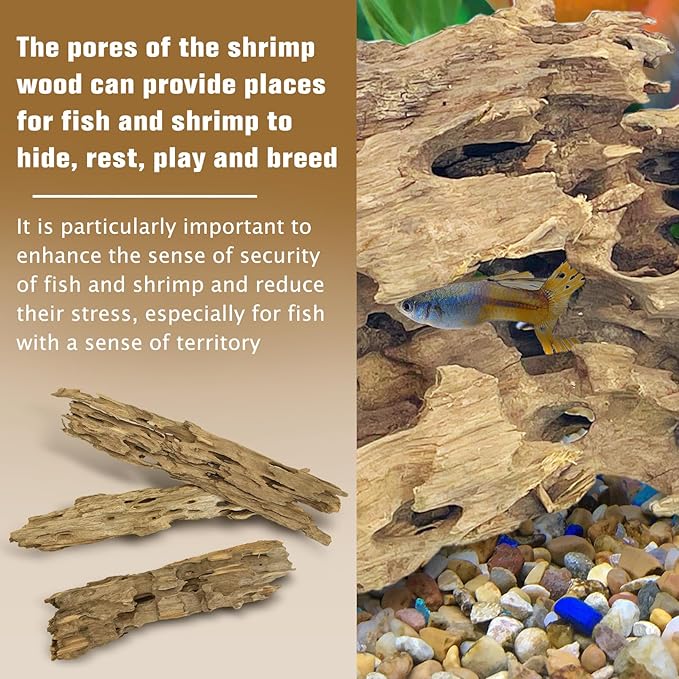PINVNBY Natural Driftwood for Aquarium Large Reptile Terrarium Decor Decorations Assorted Branches Dearded Dragon Tank Accessories (Slim Style: 7.87-11.8 inches/3 Pack)
