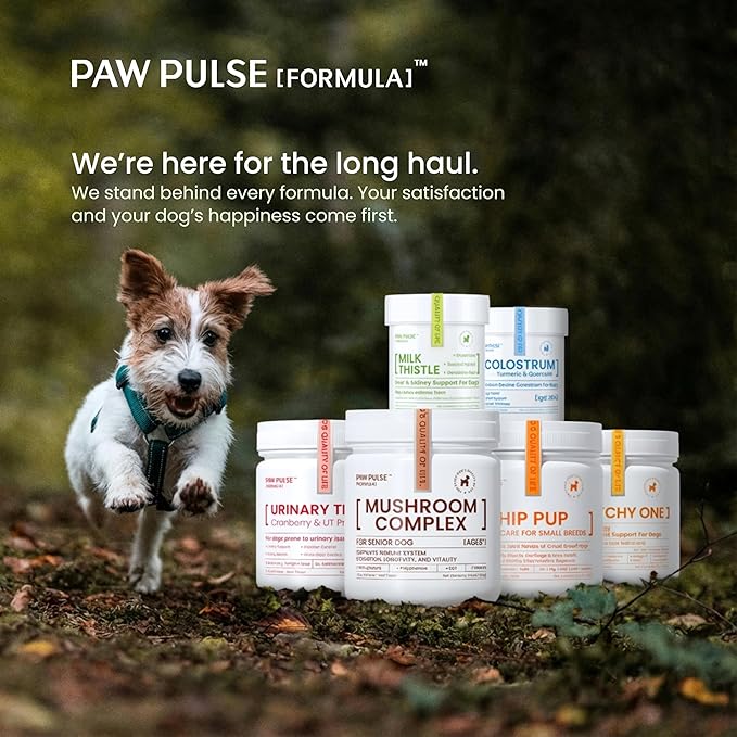 Pawpulse Formula Immune Defense Mushrooms for Dogs - Cellular Growth, Turkey Tail and Lions Mane for Cognitive Support, Lumps and Bumps, Gut Health and Longevity - Senior Dog Supplement, 80 Chews