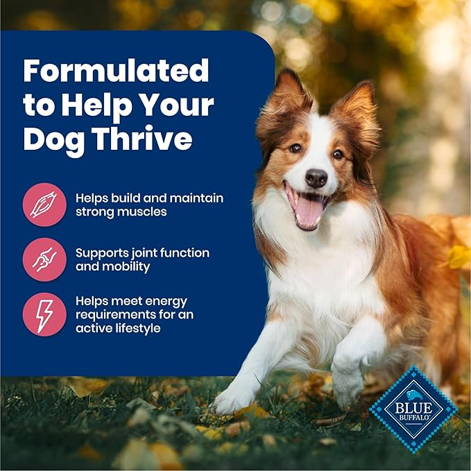 Blue Buffalo Life Protection Formula Adult Dry Dog Food, Helps Build and Maintain Strong Muscles, Made with Natural Ingredients, Salmon & Brown Rice Recipe, 34-lb. Bag