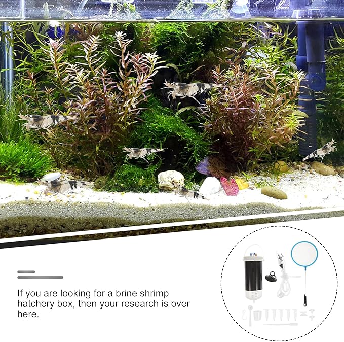 FRCOLOR Brine Shrimp Incubator Hatchery Kit Plastic Mini Fish Tank for Artemia Eggs Hatching and Breeding 6.1X2.36X2.36 Inches