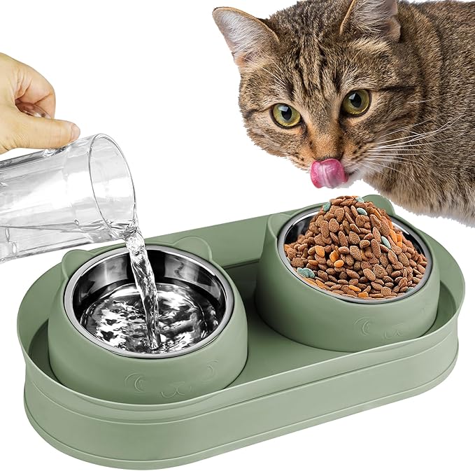 Elevated Raise Tilted Cat Food Bowls,with Stand Stainless Steel, Anti Vomiting, Double Cat Food and Water Bowl Set (Green)
