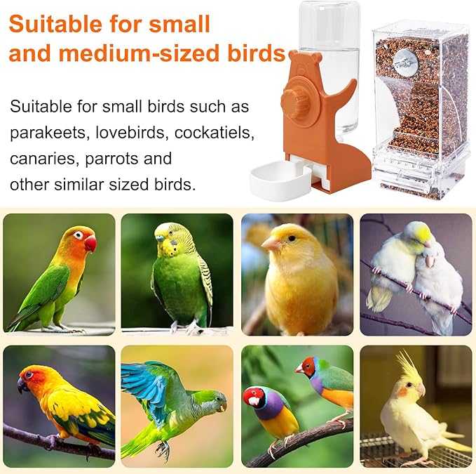 VCEPJH No Mess Bird Feeder and Water Dispenser Automatic Parrot Feeder Cage Accessories Orange Bird Drinker Parakeet Seed Dispenser with Cage Perch for Lovebirds Conures Budgies Canary Finch (Orange)