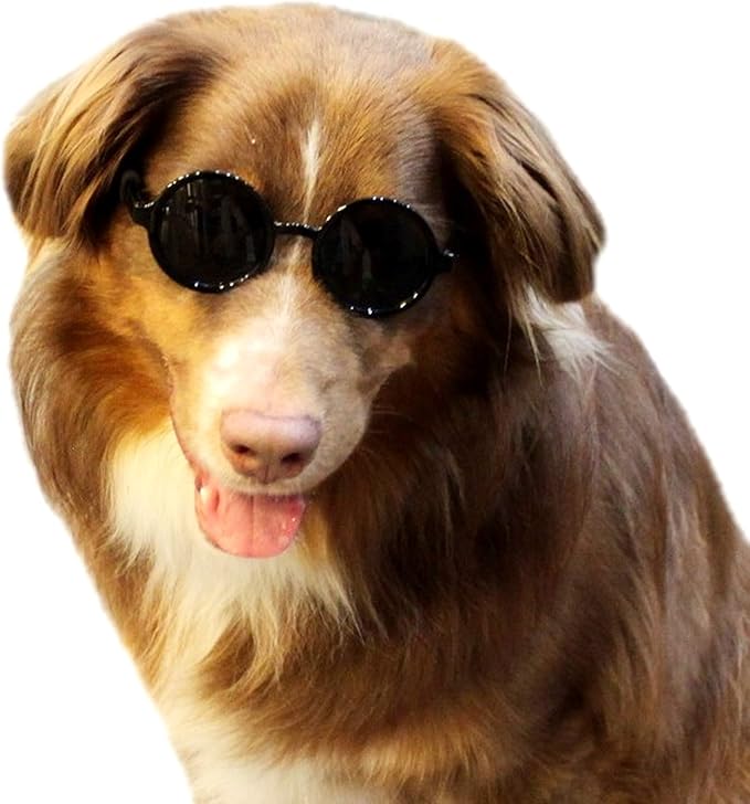 G001 Dog Cat Pet Costume Prop Round Sunglasses Medium Breeds 20-40 lbs (Black + Black)