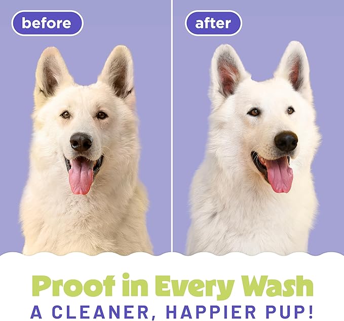 TropiClean Whitening Dog Shampoo, Professional Dog Shampoo, Whitening & Brightening, For All Coat & Color Types, Puppy Safe, Made in USA, 2.5 Gallon