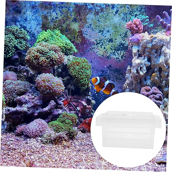 FRCOLOR 2pcs Fish Fry Breeding Box Aquarium Isolation to Install Cup Fish Fry Wear-Resistant Material for Aquariums and Tanks