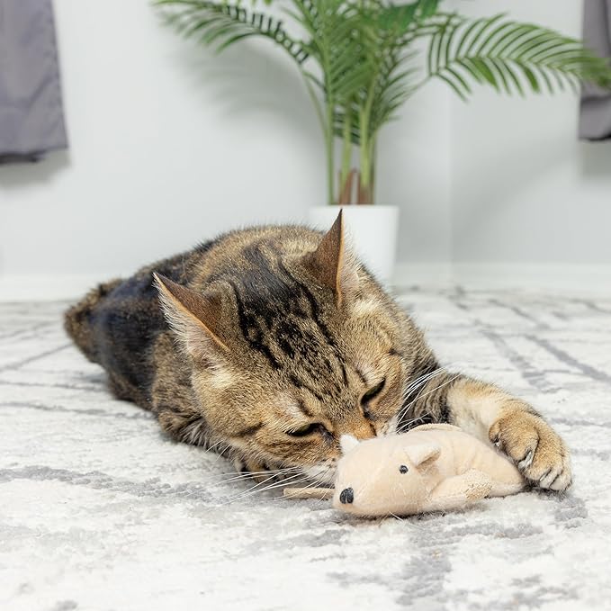SPOT Flat Mouse Frankie with Catnip - Cat Toy, Fuzzy Mice with Catnip and Crinkle Sound, Perfect Size for Pouncing on, Chasing, Hunting - 5.5in Plush Toys, Assorted Colors (Pack of 2)
