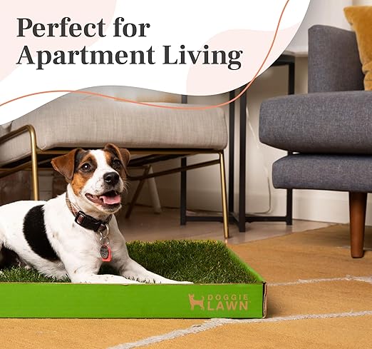 DoggieLawn Real Grass Puppy Pee Pads- 24 x 9 Inches - Perfect Indoor Litter Box for Dogs - No Mess, Easy-to-Use - Potty Training for Pets - Eco-Friendly Disposable Bathroom with Real Living Grass