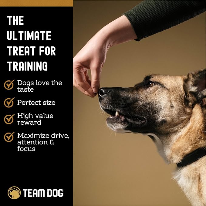 Team Dog Freeze-Dried Raw Pork Soft Dog Treats & Dog Food Topper | Grain Free Dog Treats for Training | 100% USA-Sourced Pork for Cleaner Teeth, Digestive Health & Muscle Growth | 14 oz Bulk Size