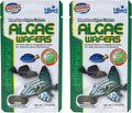 Hikari Tropical Algae Wafers Fish Food [Set of 2] Size: 0.70 Ounce
