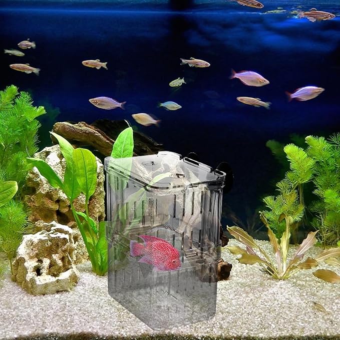 Fish Breeding Tanks Fish Tank Box 2Pcs Breeding Box Plastic Boxes Aquarium Acclimation Hatchery Incubator for Shrimp Clown Guppy