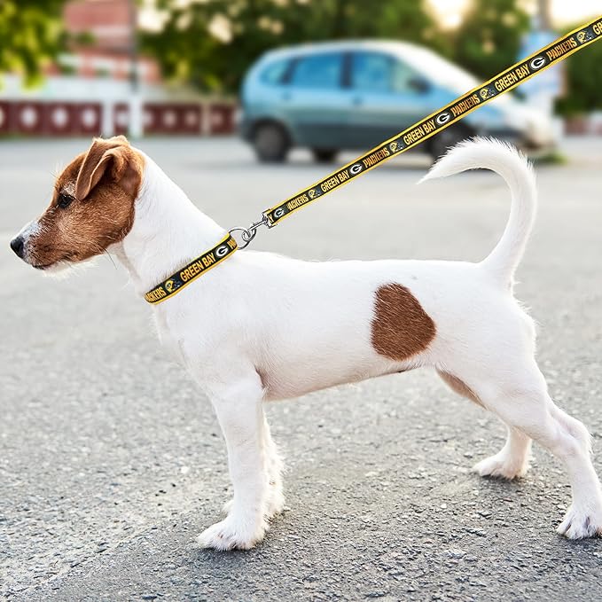 NFL PET Green Bay Packers Dog Leash, Medium Football Team Leash for Dogs & Cats - Shiny & Colorful, Licensed by The NFL