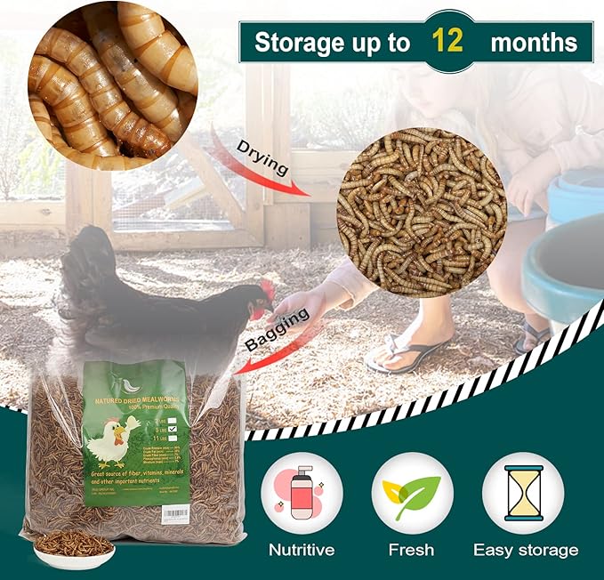 44LB Non-GMO Dried Mealworms, 100% Natural Large Size No Moisture, Mealworms for Chickens, Birds, Hedgehog, Hamster, Fish, Reptile, Turtles