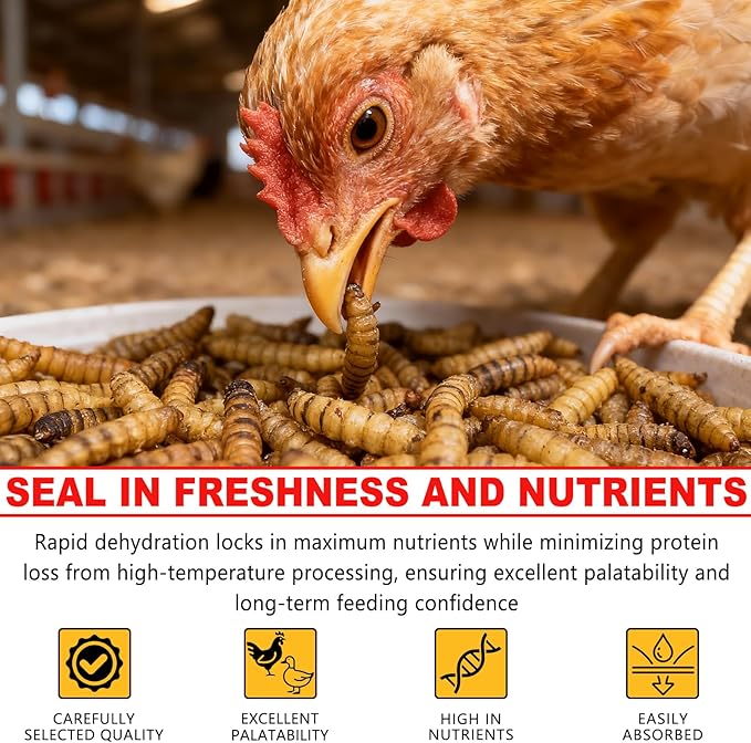 Dried Black Soldier Fly Larvae 2 oz,Chicken Feed, Hamster Food,More Calcium Than Dried Mealworms High-Protein Chickens Treats, Food for Wild Birds, Ducks, Layer Hens(2 oz)
