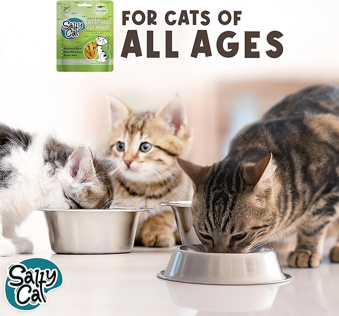 Salty Cat 100% Natural Freeze-Dried Minnows Cat Treats, 10g (12 Pack)