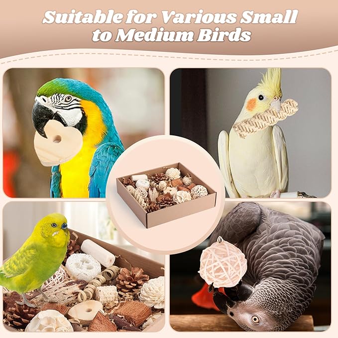 Bird Toys for Parakeets, Natural Cockatiel Foraging Toy Box for Parrots, Conures, Budgies, Macaws, Lovebirds, and Other Small to Medium Birds