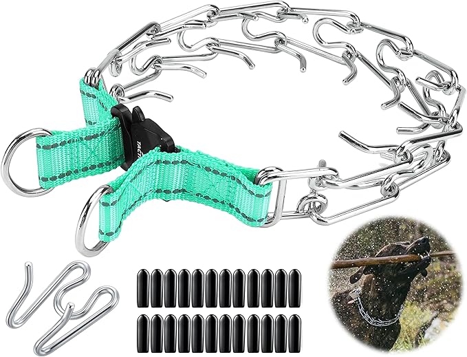 Quick Release Dog Training Collar Adjustable Stainless Steel Collar for Small Medium Large Dog (Teal, XL Neck Girth 16.9"-22.2")