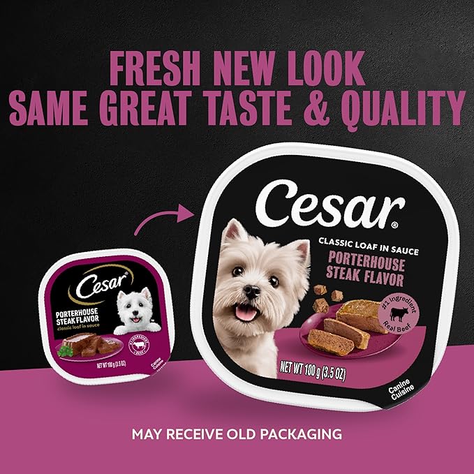 Cesar Classic Loaf in Sauce Adult Wet Dog Food Porterhouse Steak Flavor 3.5 oz. Easy Peel Trays, 24 Count (Pack of 1)