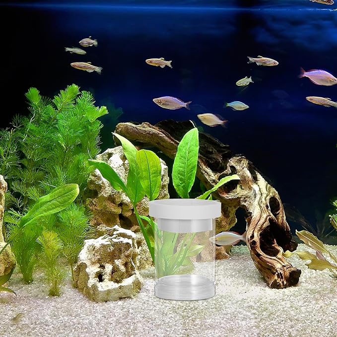 Milisten Aquarium Fish Breeding Box Floating Egg Incubator Isolation Chamber for Guppy and Small Fish Hatchery White Small Size