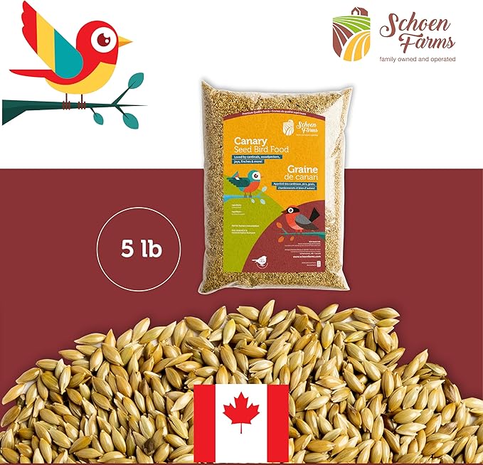 Premium Canary Seed ALPISTE (5 LBS)
