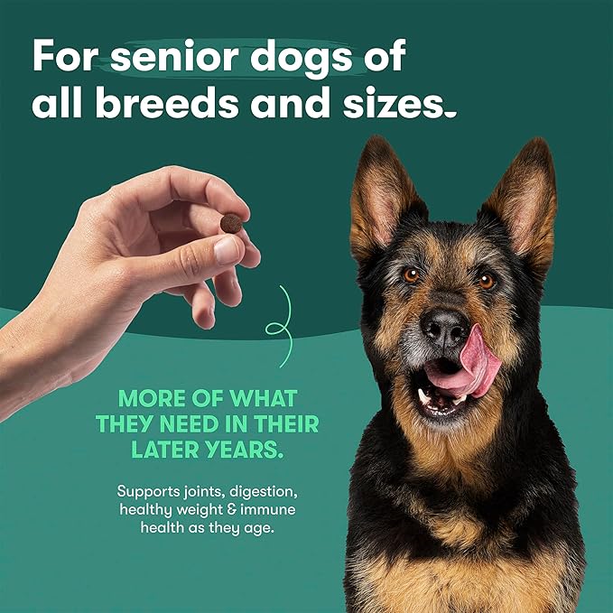Jinx Premium Senior Dog Food Dry - Real Chicken, Brown Rice & Sweet Potato Kibble with Antioxidants for Immune Support & Whole Grains for Digestive Support - No Fillers - 4lb